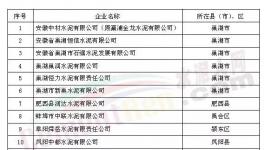 中材、中聯(lián)水泥等13家企業(yè)被列審核名單