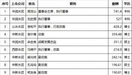 水泥上市企業(yè)高管薪資排行榜出爐！