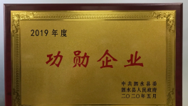 濟(jì)寧中聯(lián)榮獲“2019年度功勛企業(yè)” 榮譽(yù)稱(chēng)號(hào)