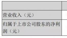 天山股份年報(bào)：2020年實(shí)現(xiàn)凈利潤(rùn)15.16億元！