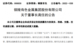 中國銅工業(yè)板塊第一股董事長辭職，下一站海螺集團！