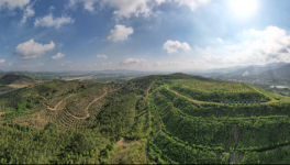 從滿目瘡痍到無(wú)塵、清潔、生態(tài)礦山，3年見(jiàn)證涅槃重生！