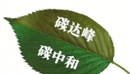 縫出匠心！這家環(huán)保企業(yè)脫穎而出！市場(chǎng)占有率名列前茅！