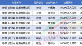 大動(dòng)作！中建材、海螺、紅獅成立35家新公司！